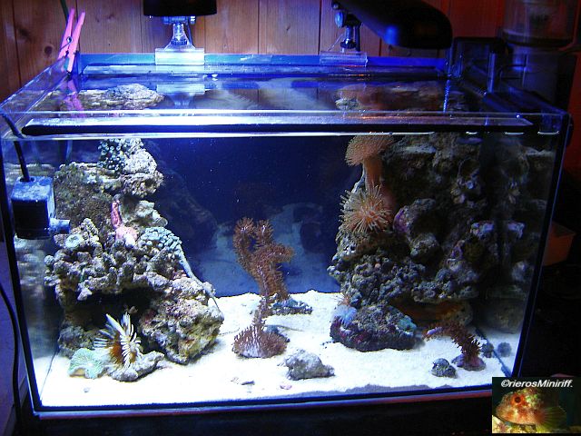 45 L Nano 1