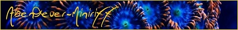 Abenteuer-Miniriff-Banner