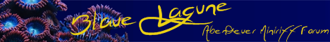 Banner Forum Fertig 