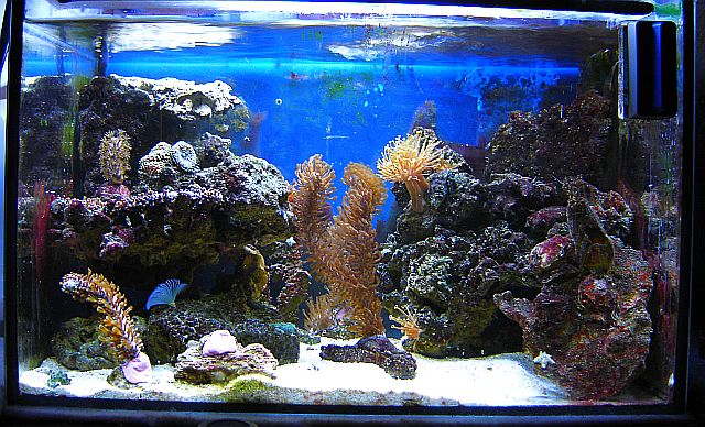 Nano 25L 1