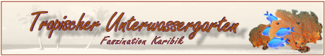 banner Harald