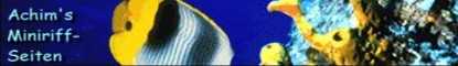 banner_achim