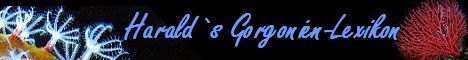 gorgonienbanner